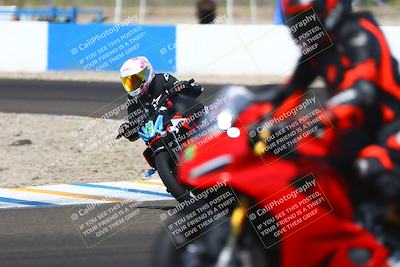 media/Sep-20-2025-TrackDaz (Sat) [[27f0cde673]]/C Group/1240pm (Turn 1)/